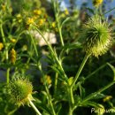 초연공원 이미지