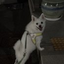 로고스 동물병원 이미지