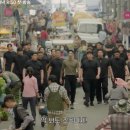 흥해동물병원