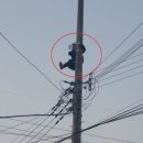 연풍1리 이미지