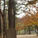 침벽공원 Daum카페