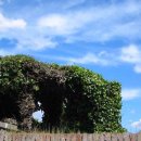 담소쉼터민박 이미지