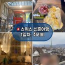 알프스게임하우스 | 🇨🇭스위스 신혼여행 / 1일차 취리히(Zurich) 1편/ 10월 취리히 여행, 관광, 볼거리, 맛집
