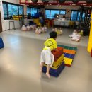 경희 태권 히어로즈 이미지