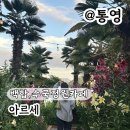 달리는커피통영북신점 | 통영대형카페 황홀했던 바다뷰 수국 백합 정원 아르세 실시간