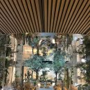 몬드리안서울이태원(MONDRIAN SEOUL ITAEWON) | 이태원 몬드리안 서울 호텔 호캉스 수영장 루프탑 바 이용후기