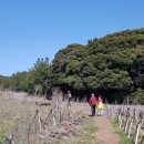 천인목장 이미지