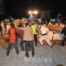 영차투어 이미지
