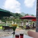 숲을 그리다 이미지