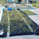 소랑하우스 이미지