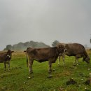 정훈축산 이미지