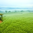 구개농장 이미지