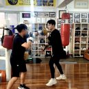 허리케인권투체육관 이미지