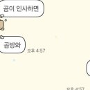 [테마후기] Joy Soo님 쿨쿨 곰/판다 카톡테마