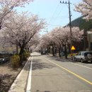 합천농협 봉산지점 이미지