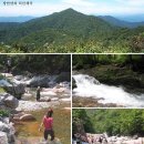 덕산계곡진입로 이미지