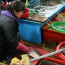 녹동항횟집 이미지