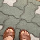 루시르 네일