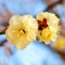 순천매산고등학교 이미지