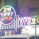 호박 관광나이트 이미지