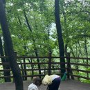 풀잎식당 | 아이들과 용인산림교육센터에서의 즐거웠던 1박 2일 - (2) 곤충 잡기, 식당 후기