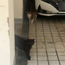 군선생 이수점 이미지