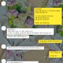 크린토피아남수원지사 | [웨딩] 수원 루클라비 뷔페 시식 후기 (feat.밥클라비)