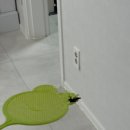특청사 네이버블로그