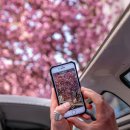 동영상 제작하기 이미지