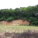 오솔길 농장 이미지