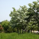 고인돌공원 티스토리