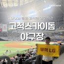 스카이 유통 | 쾌적한 [고척스카이돔 야구장] | 아이와 함께 LG vs 키움 경기 직관 후기, 주차 팁 포함