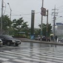 국민체육센터 앞 횡단보도 이미지