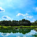 블루헤런G.C 이미지