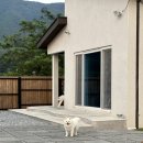 화산로R 이미지