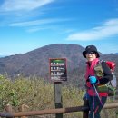 피막골 Daum카페