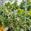 두식농장 이미지