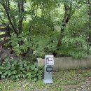 흥정계곡캠핑700 | 강원도 평창 계곡캠핑추천 흥정계곡캠핑 700 여름 방문 후기/R0사이트