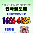 [전국꽃도매] ==＞ 농장직영＜== 이미지