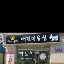 쁘띠멍멍 이미지