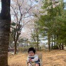 식구개 이미지