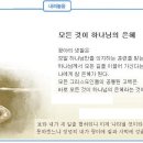 일일예화말씀묵상 2024년 6월 14일 (금) - 기차는 아슬아슬하게 멈추었다 이미지