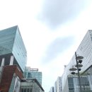 미래안경 이미지