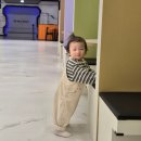 대원오토바이 - 전주시 완산구 용머리로 140 | 월드킹 키즈카페 고양점 추천 아이랑 하루종일 놀기 좋은 실내놀이터