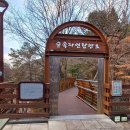 제218차 대전 만인산자연휴양림, 상소동 산림욕장 트레킹(24년 2월 4일, 일요일) 이미지
