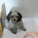 대전도마중학교 이미지