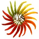고추(Chili pepper)/된장, 고추장, 간장, 청국장 의 효능 이미지
