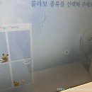하루필름혜화소나무길점