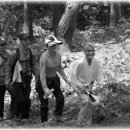 성왕산등산로 이미지