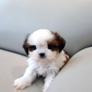 상도메디칼 이미지